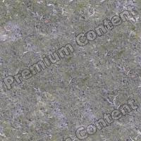 High Resolution Seamless Moss Texturel 0001